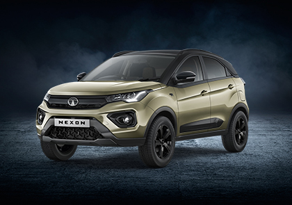 Nexon Grassland Beige