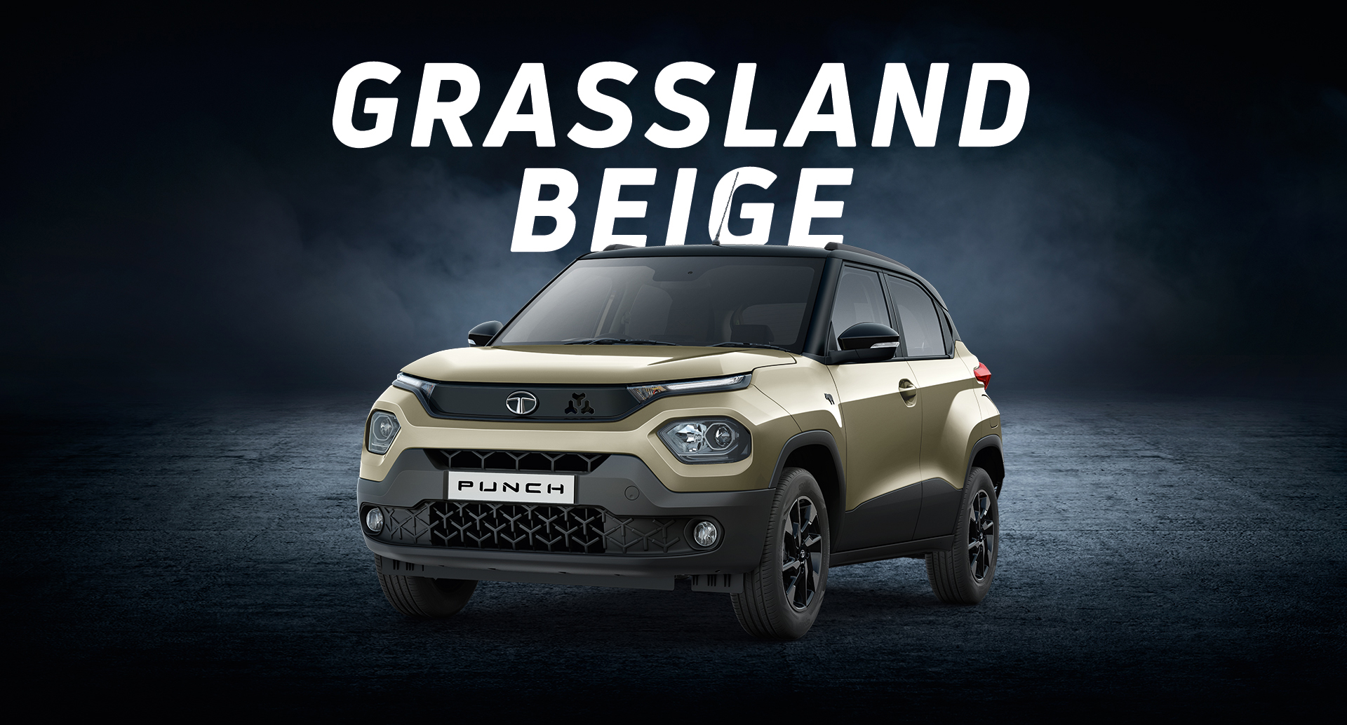tata punch grassland beige