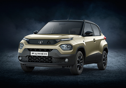 tata punch grassland beige